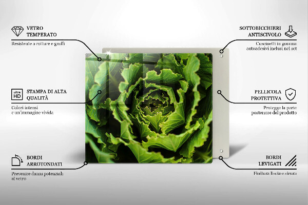 De vidrio templado Comer hojas de lechuga