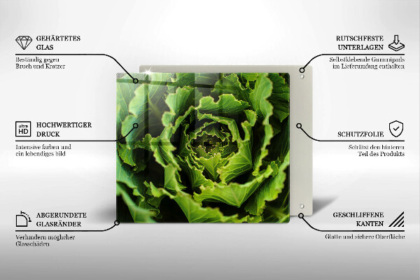 De vidrio templado Comer hojas de lechuga