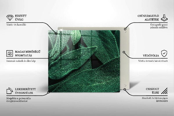 De vidrio templado Las hojas de la planta