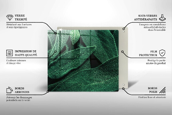 De vidrio templado Las hojas de la planta