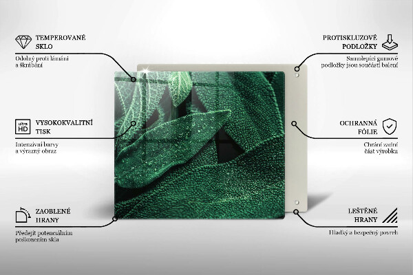 De vidrio templado Las hojas de la planta