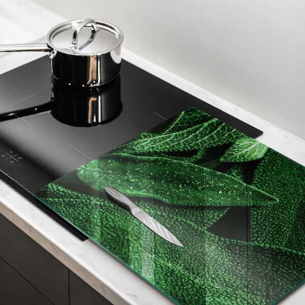 De vidrio templado Las hojas de la planta