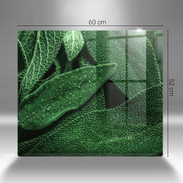 De vidrio templado Las hojas de la planta