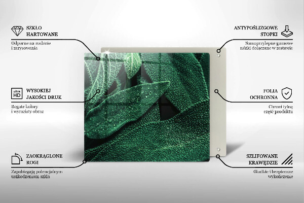 De vidrio templado Las hojas de la planta