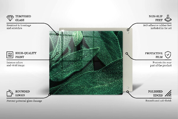 De vidrio templado Las hojas de la planta