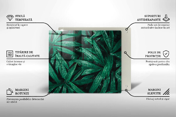 De vidrio templado Hojas de plantas