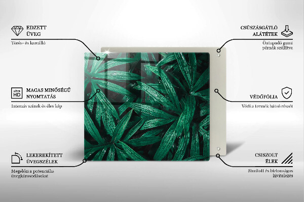 De vidrio templado Hojas de plantas