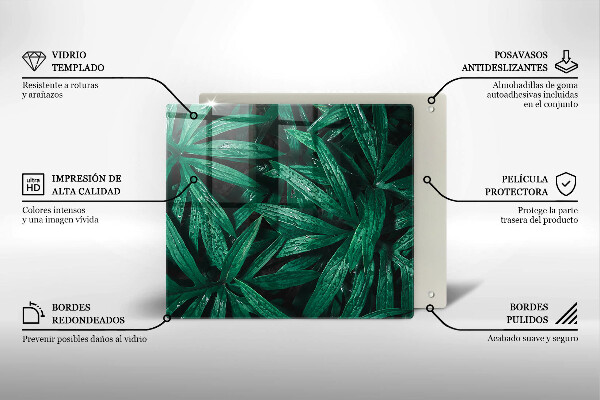 De vidrio templado Hojas de plantas