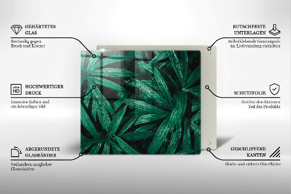 De vidrio templado Hojas de plantas