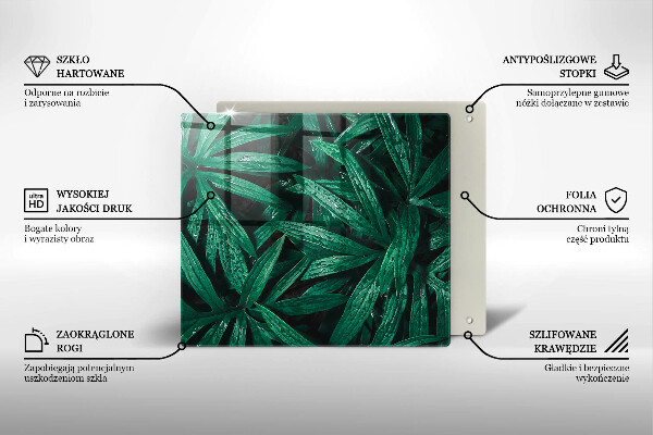 De vidrio templado Hojas de plantas