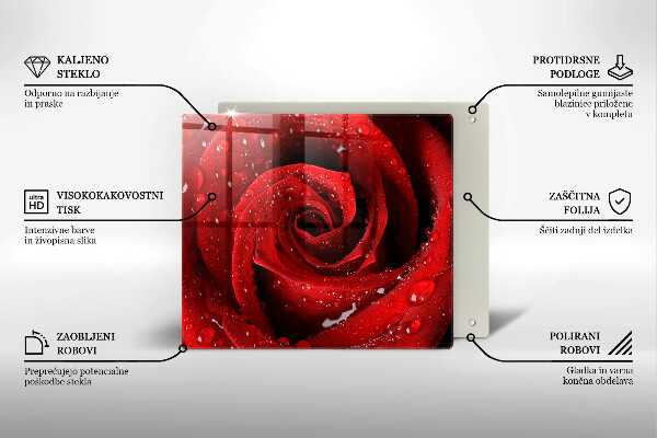 De vidrio templado Pétalos de rosas