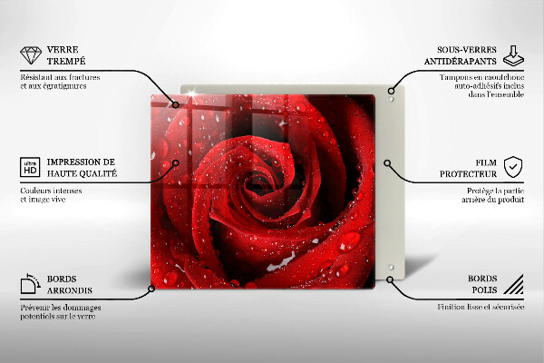 De vidrio templado Pétalos de rosas