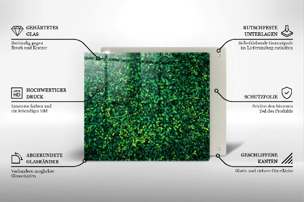 De vidrio templado Planta con hojas pequeñas