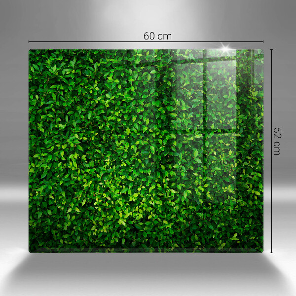 De vidrio templado Planta con hojas pequeñas