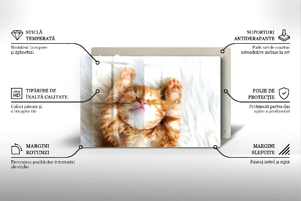 Tabla de cortar de vidrio Pequeño gatito lindo