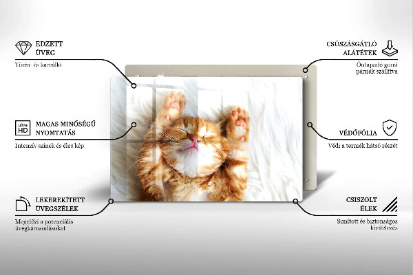 Tabla de cortar de vidrio Pequeño gatito lindo