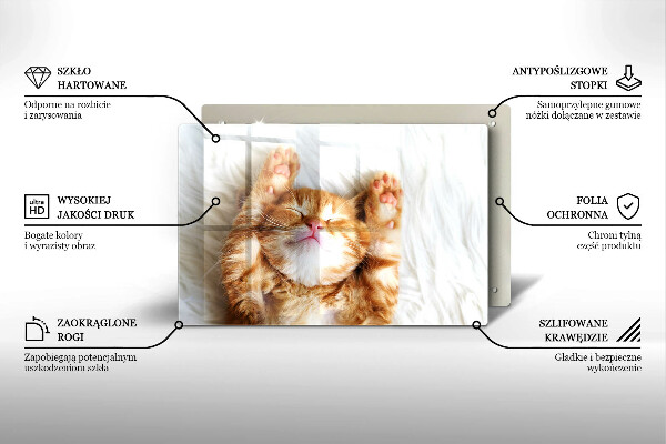 Tabla de cortar de vidrio Pequeño gatito lindo