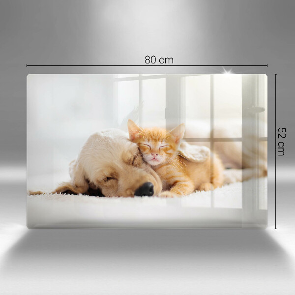 Tabla de cortar de vidrio Animales perro y gato