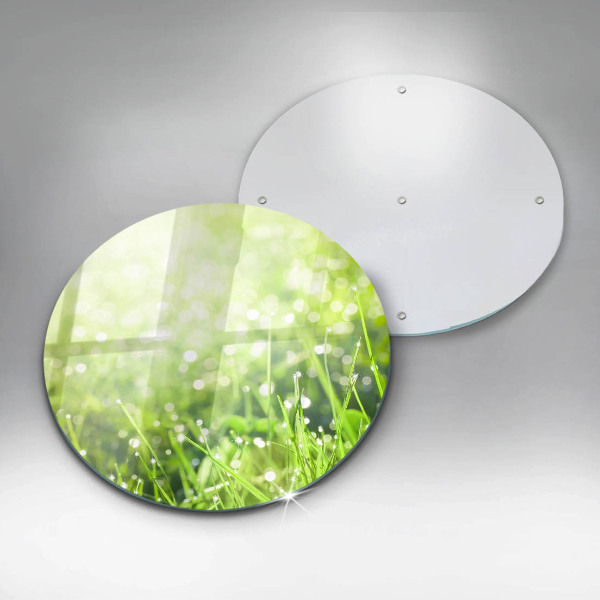 De vidrio templado Naturaleza - hierba y rocío