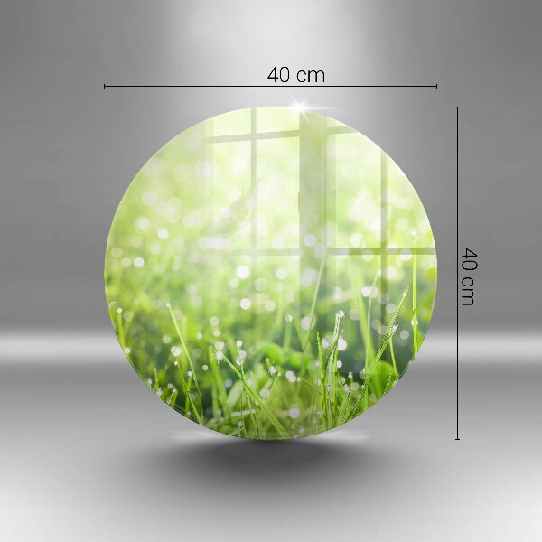De vidrio templado Naturaleza - hierba y rocío