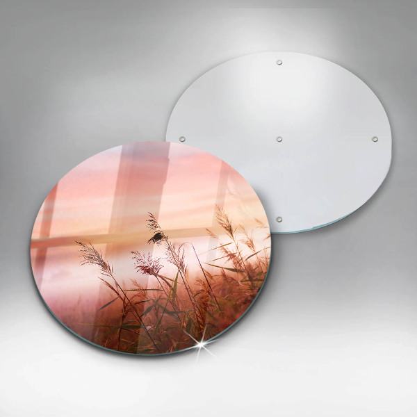 De vidrio templado Paisaje de campos de hierba