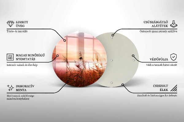 De vidrio templado Paisaje de campos de hierba