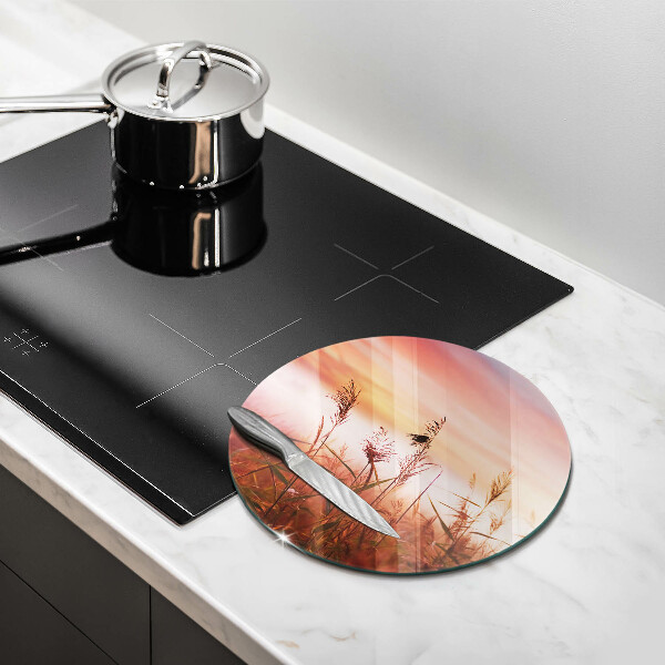 De vidrio templado Paisaje de campos de hierba