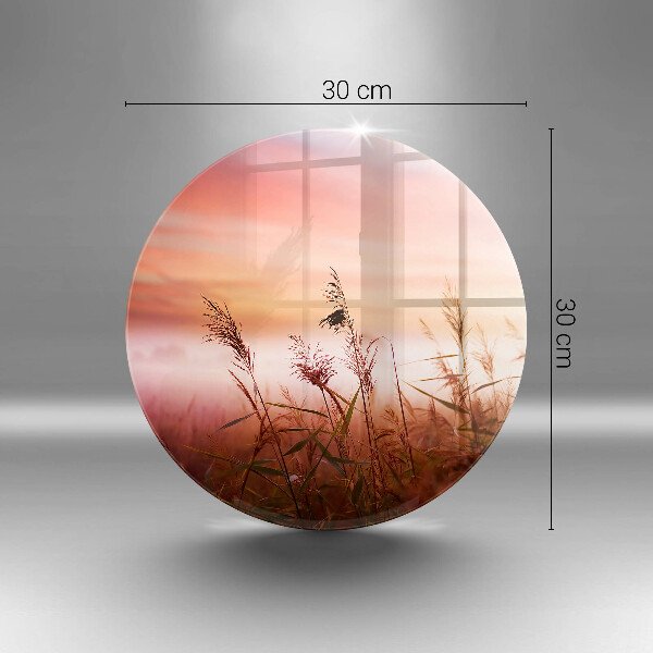 De vidrio templado Paisaje de campos de hierba