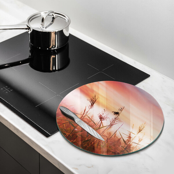 De vidrio templado Paisaje de campos de hierba