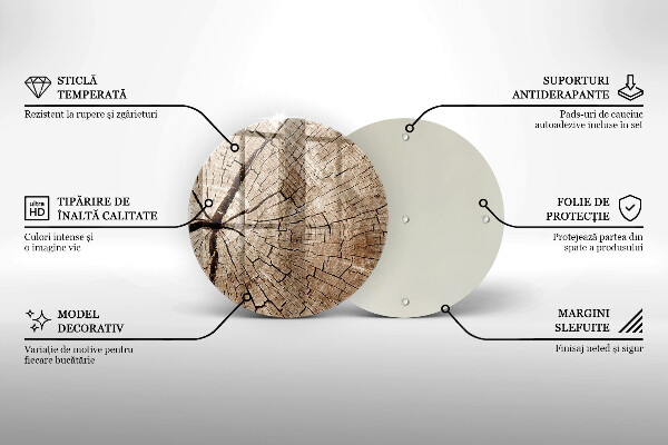 De vidrio templado Sección transversal de un árbol