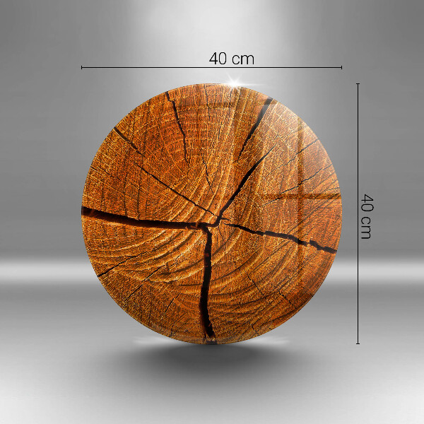 De vidrio templado Estructura de tronco de madera