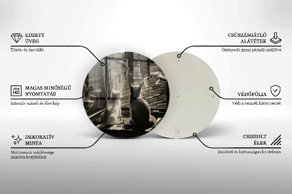 De vidrio templado Ventana y ciudad de gatos