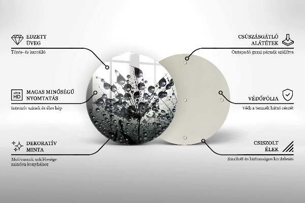 De vidrio templado Dientes de león y rocío