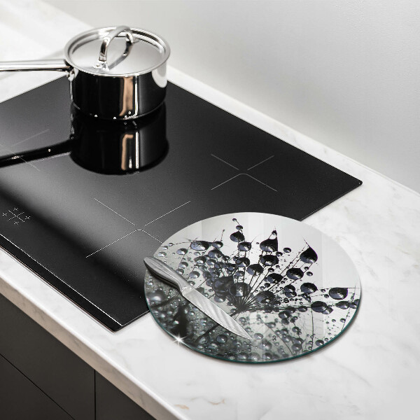 De vidrio templado Dientes de león y rocío