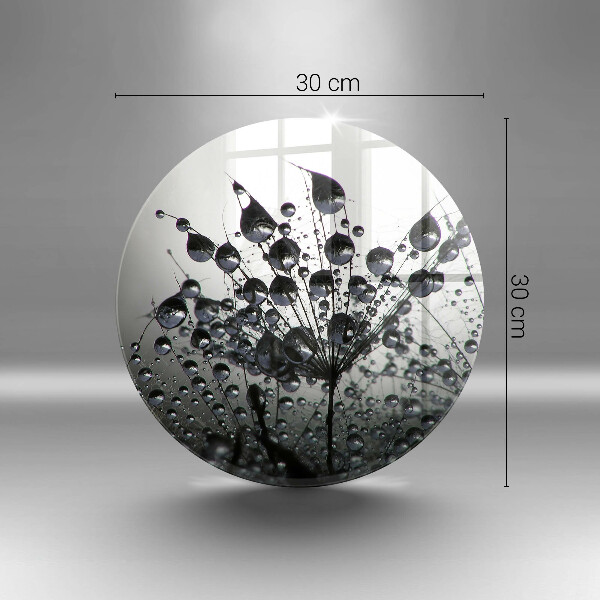 De vidrio templado Dientes de león y rocío