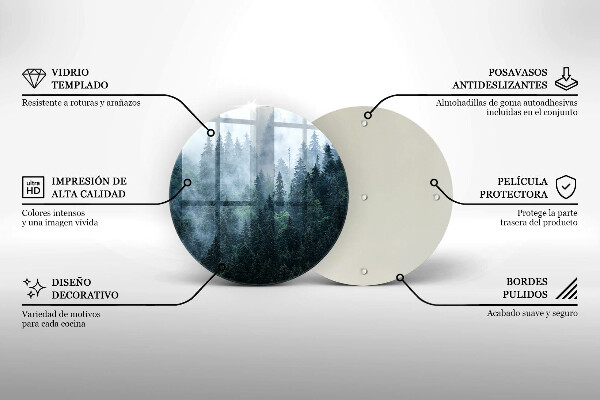 De vidrio templado Árboles forestales y niebla