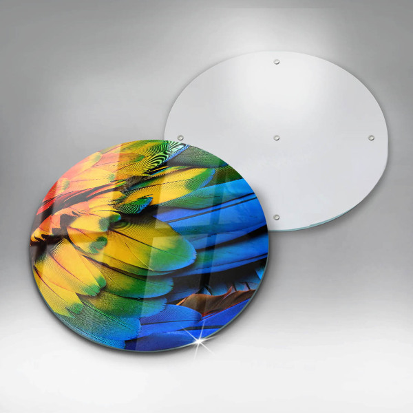 De vidrio templado Plumas de loro de colores