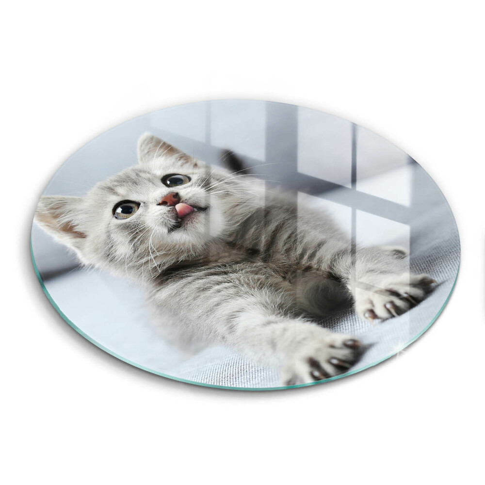 De vidrio templado Pequeño gatito lindo