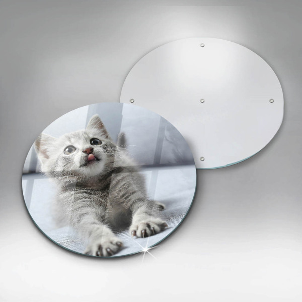 De vidrio templado Pequeño gatito lindo