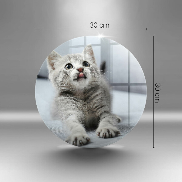 De vidrio templado Pequeño gatito lindo