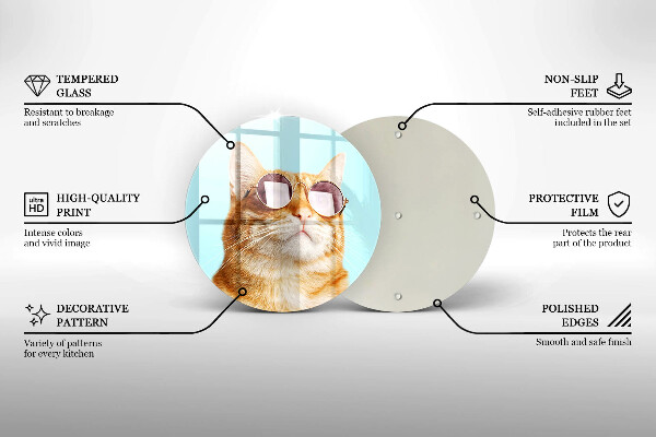 De vidrio templado Gato rojo con gafas