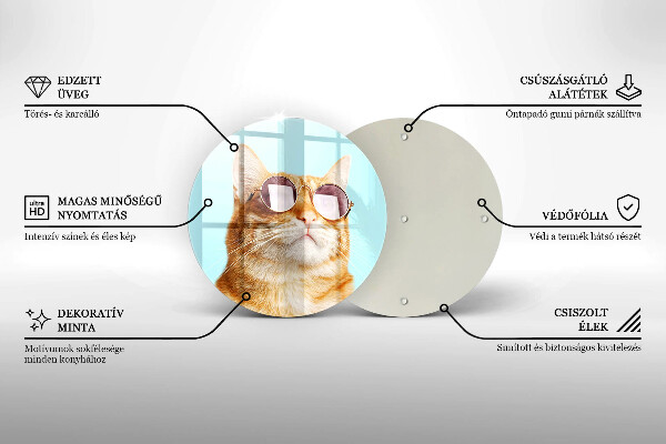 De vidrio templado Gato rojo con gafas