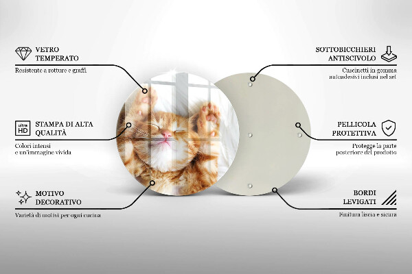 De vidrio templado Pequeño gatito lindo