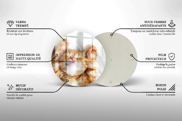 De vidrio templado Pequeño gatito lindo