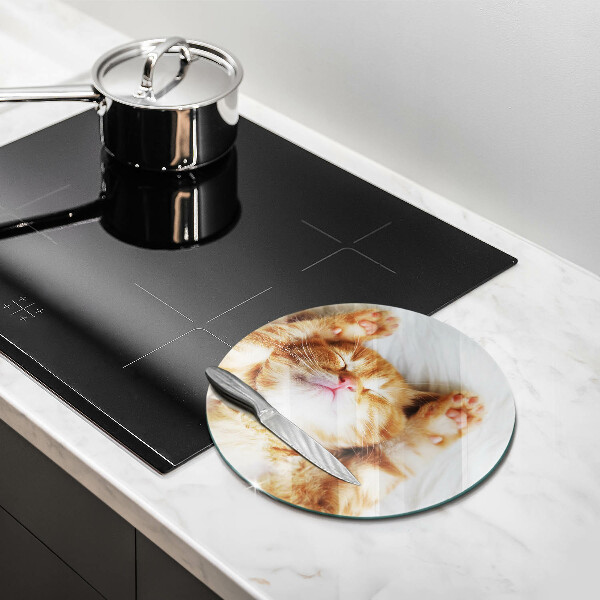 De vidrio templado Pequeño gatito lindo