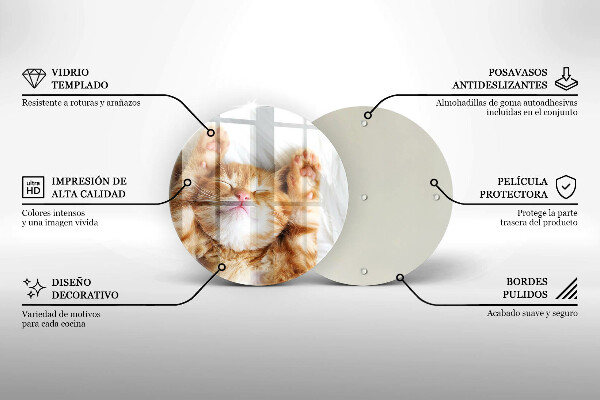 De vidrio templado Pequeño gatito lindo