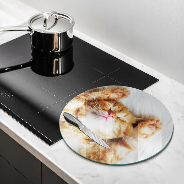 De vidrio templado Pequeño gatito lindo