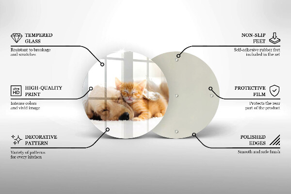 De vidrio templado Animales perro y gato