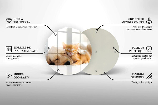 De vidrio templado Animales perro y gato