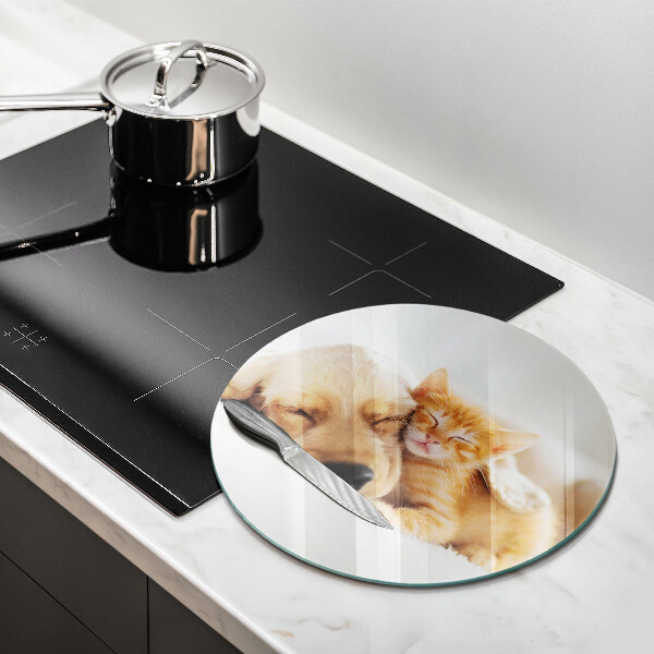 De vidrio templado Animales perro y gato